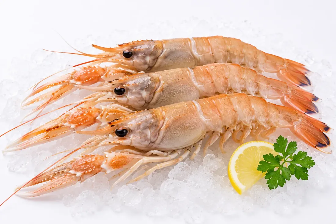 Fresh Scampi arranged on crushed ice with lemon and parsley.